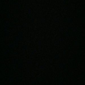 Meet your Posher, Leonard